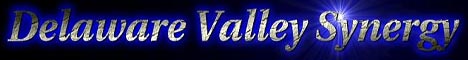 Delaware Valley Synergy