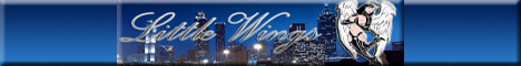 Little Wings of Atlanta swinger club