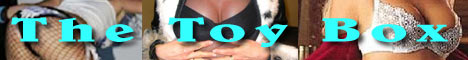 The Toy Box swinger club