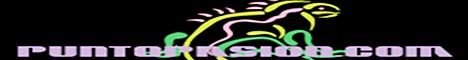 Puntopasion.com
