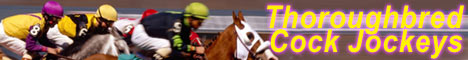 Thoroughbred Cock Jockeys